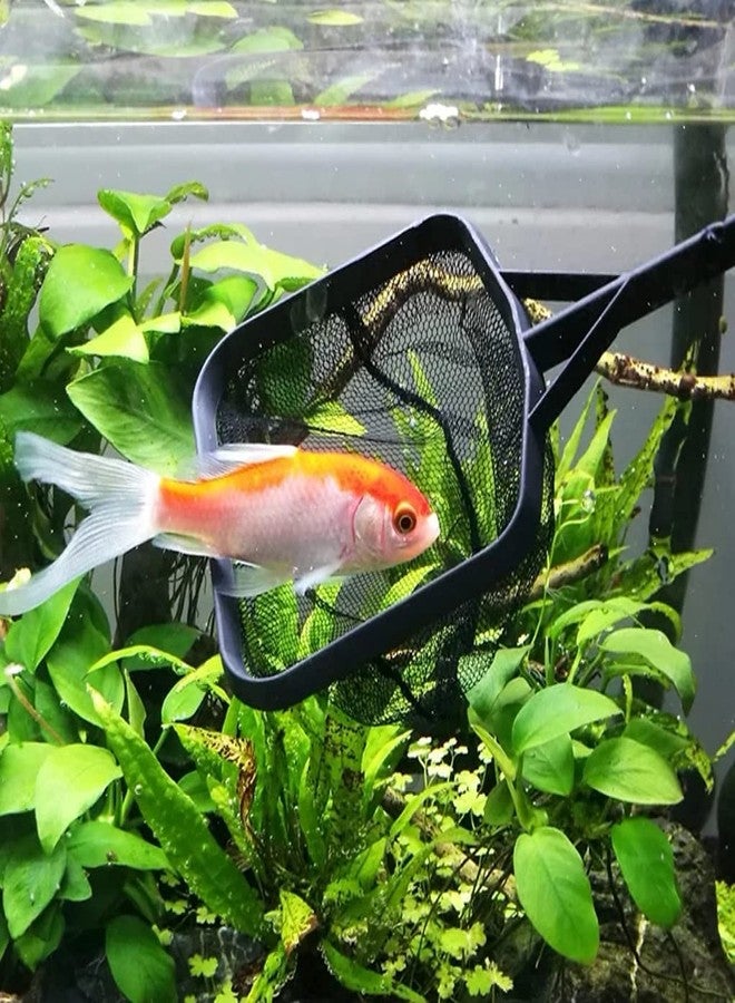 VAYINATO PetzLifeworld (6 Inch) Aquarium Black Fish Net Long with Plastic Handle - Image 2